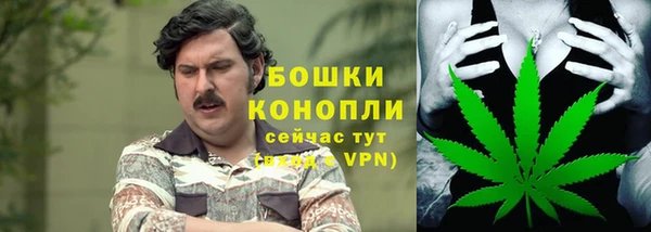 трава Арсеньев