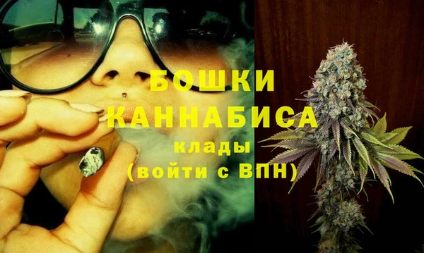 трава Арсеньев