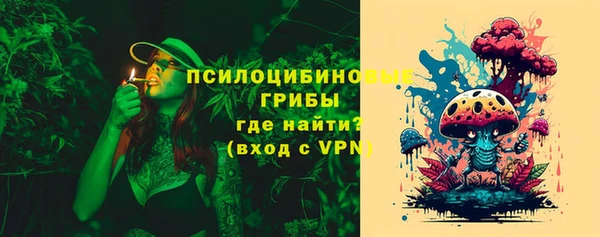 трава Арсеньев