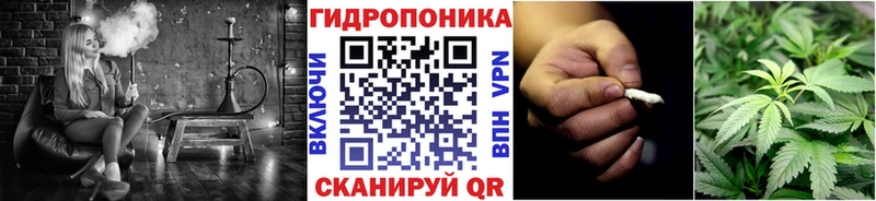 Бошки марихуана VHQ  Ухта 